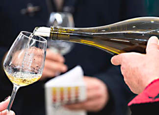 Live Wine (MI) Live Wine