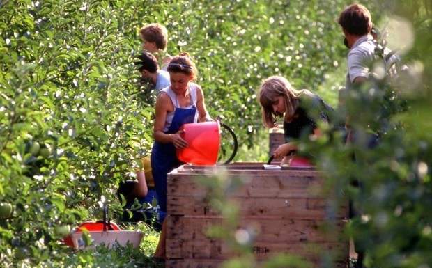 L’obiettivo è un’agricoltura senza pesticidi entro il 2025