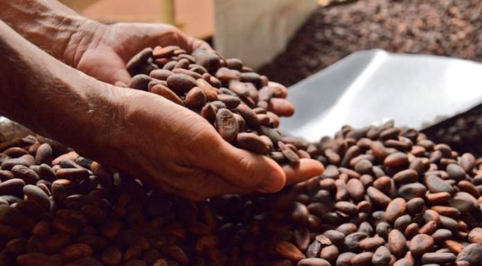 Bio ed equo: il binomio che vale di più