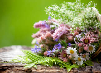 Corso sui fiori di Bach