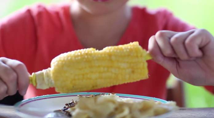 “Sulla valutazione dei rischi derivanti dal consumo di Ogm, serve cautela”