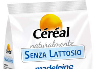 Madeleine con pepite di cioccolato Madeleine