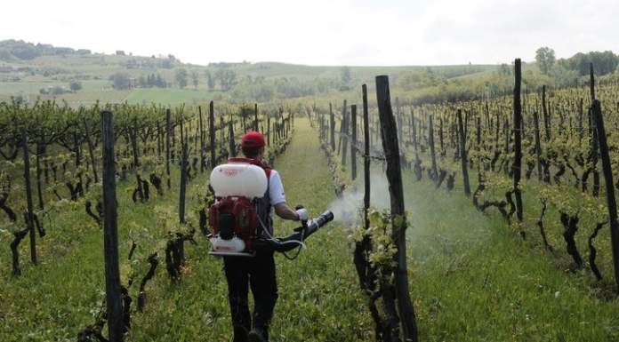 Presentata la “Lista europea dei prodotti per l’agricoltura biologica”