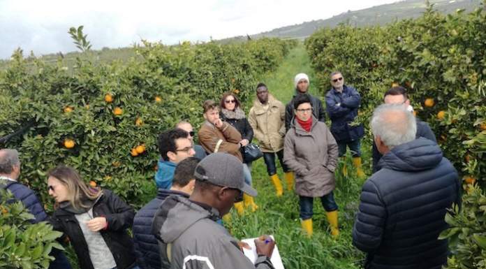 Ribera (AG). Donne, giovani e migranti a scuola di agrumicoltura biologica