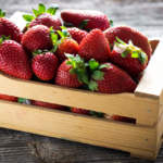 Sagra delle fragole (MI)