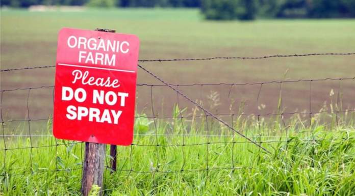 Fao: via dai pesticidi e dai fertilizzanti chimici, verso un nuovo modello, l’agroecologia