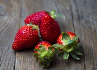 Fragole studio 04-2018 518 - ok