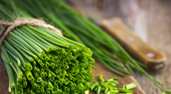 Erba cipollina in cucina, una signora aromatica