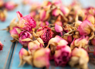 Il rito della tisana tisana