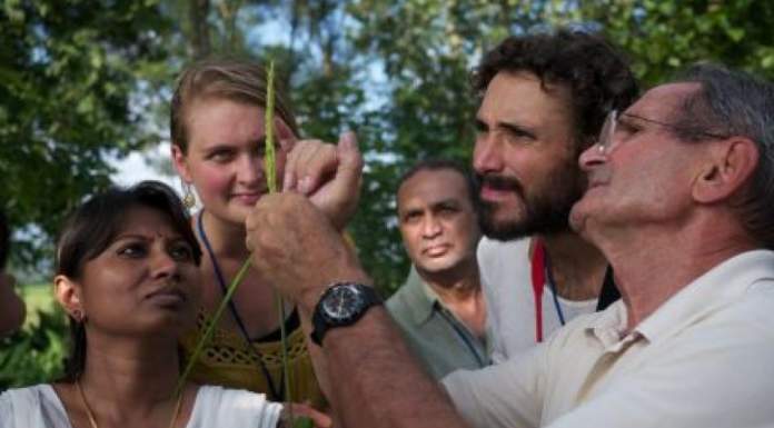 L’importanza di avere semi selezionati appositamente per l’agricoltura biologica