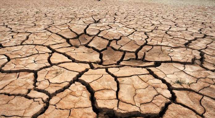 La FAO lancia l’allarme sull’inquinamento del suolo diffuso in tutto il mondo