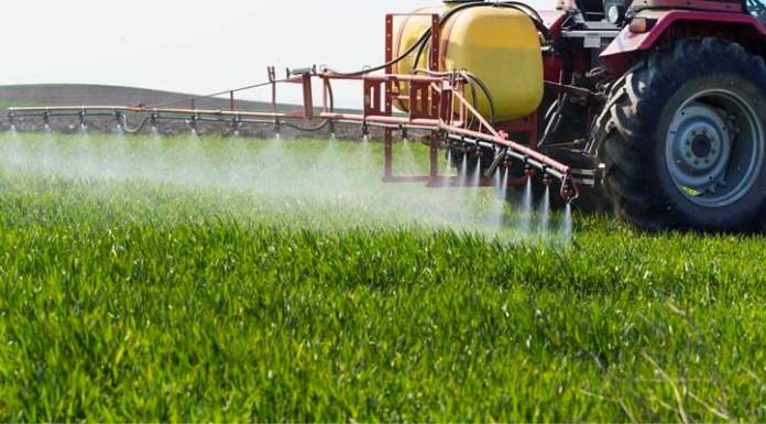 Secondo l’Istituto di Ricerca Ramazzini l’erbicida glifosate è nocivo anche a bassissime dosi