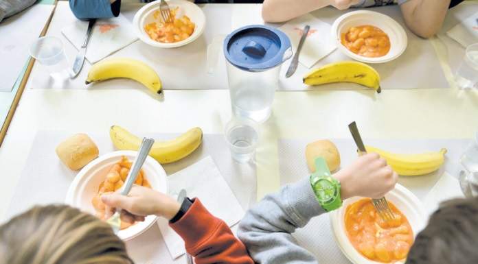 Pronto il percorso per la certificazione delle mense scolastiche biologiche