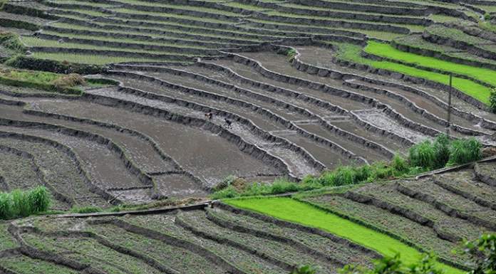 Là dove tutta l’agricoltura è convertita al biologico