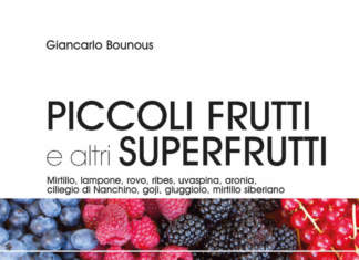 Piccoli frutti e altri superfrutti