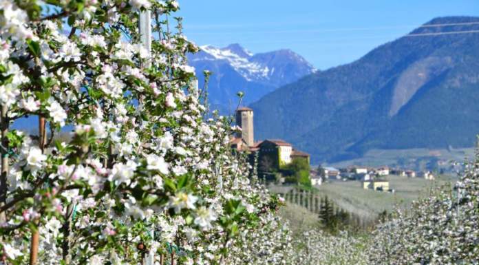 Provincia di Bolzano. Una ricerca per sviluppare la biodiversità attraverso la conservazione e la riproduzione delle sementi locali