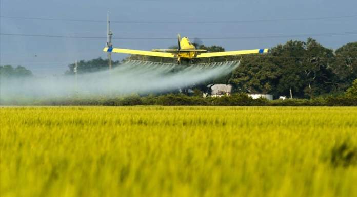I residui di pesticidi negli alimenti europei secondo il rapporto dell’EFSA riferito al 2016