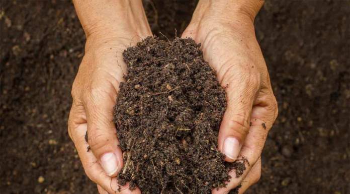 Un nuovo studio conferma la migliore qualità dei suoli lavorati con i metodi dell’agricoltura biologica