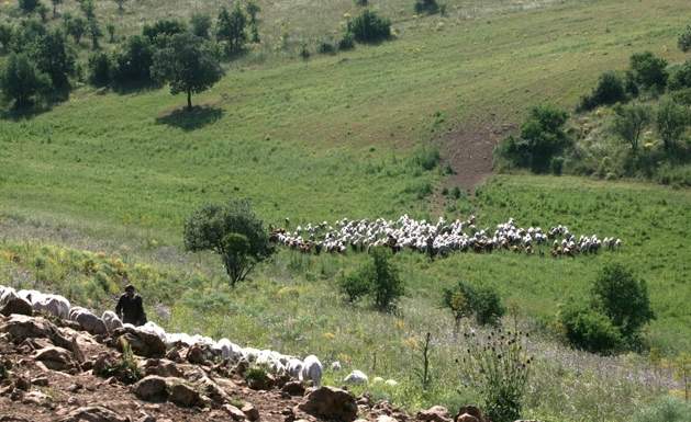 Nasce a Bari il primo Biodistretto pugliese
