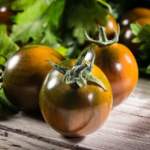 Camone italiano, gioiello di gusto