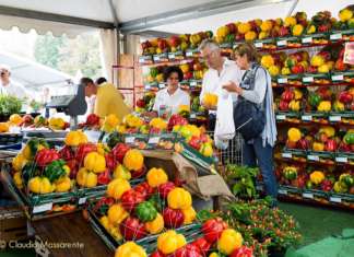 Fiera del peperone (TO) peperone