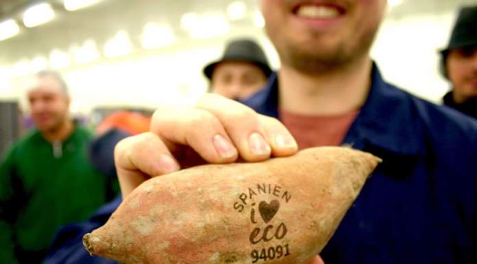 Ridurre gli imballaggi? Si può, marchiando l’ortoftutta con il laser