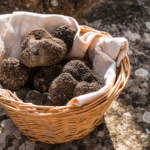 Tutti a caccia di tartufo (PG)