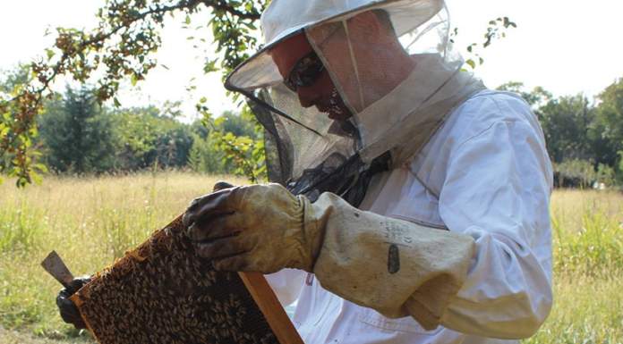 38° edizione del Concorso Grandi Mieli d’Italia – 3 gocce, la prima con una sezione dedicata al bio