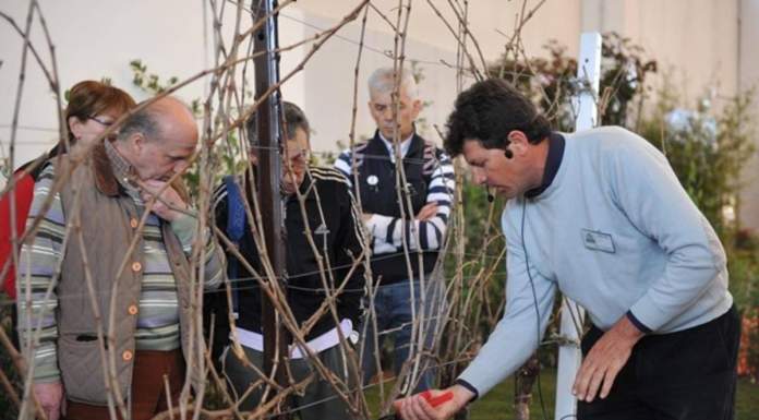 Corso di perfezionamento in “Esperto in conversione alle produzioni agricole biologiche e biodinamiche”