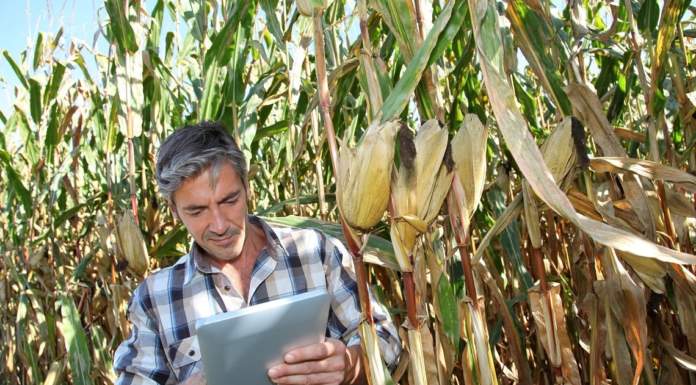 In arrivo tre milioni di euro per la ricerca in agricoltura biologica