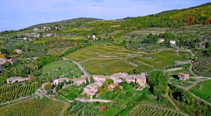 Innovazioni per il biologico toscano: per esempio, meno acqua e miglior difesa dai parassiti