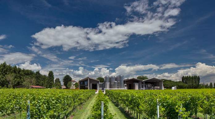 Il Prosecco Pizzolato-Fields biologico al secondo posto nella cassifica “100 Best Wine Buys” di ‘Wine Enthusiast’