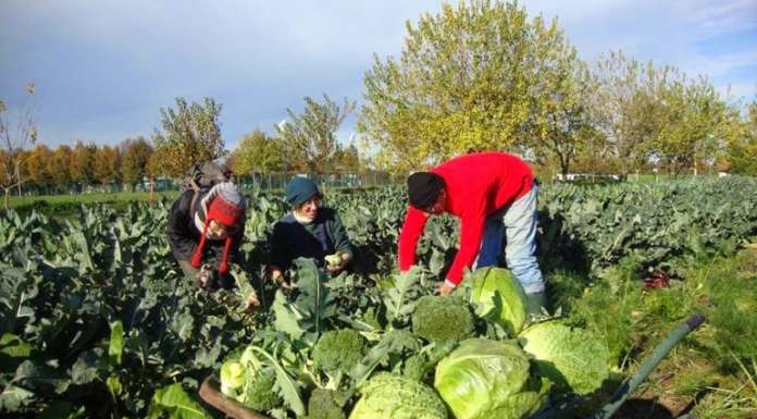 Obiettivo, 40% dei campi convertiti al biologico, entro il 2027