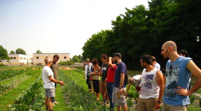 Un corso gratuito per diventare responsabile della gestione e del controllo nelle aziende bio