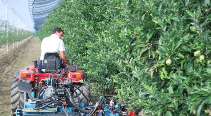 Pubblicato il nuovo regolamento per il biologico