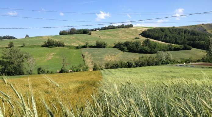 Non è vero che l’agricoltura biologica inquina più di quella convenzionale