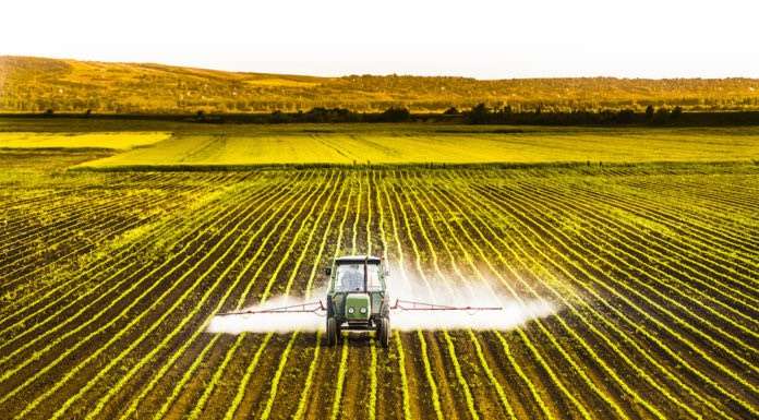 25.000 firme per una normativa sui pesticidi che tuteli ambiente e cittadini