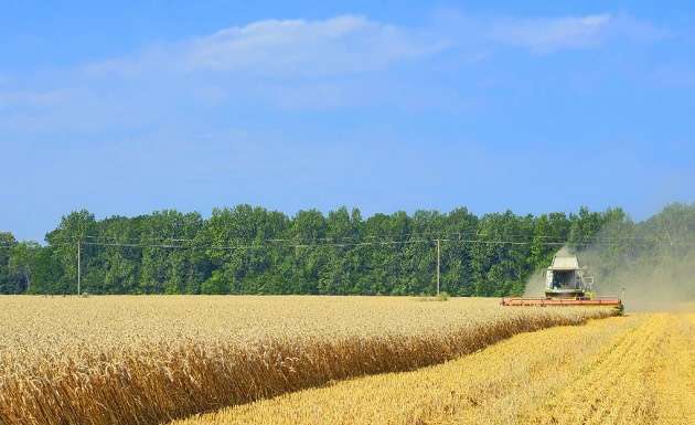 L’agricoltura biologica è più dannosa per il clima di quella convenzionale?