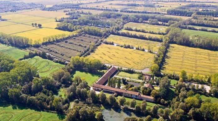 Riconosciuto il ruolo ambientale oltre che economico-sociale dell’agricoltura biologica