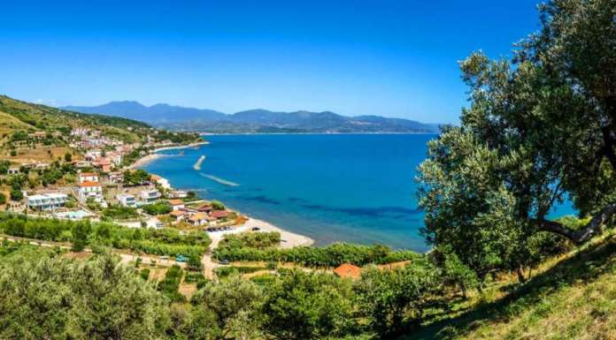 Divieto di utilizzare pesticidi e promozione dell’agricoltura biologica