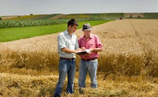 Federbio replica al “Contributo tecnico scientifico alla discussione” sull’agricoltura biologica