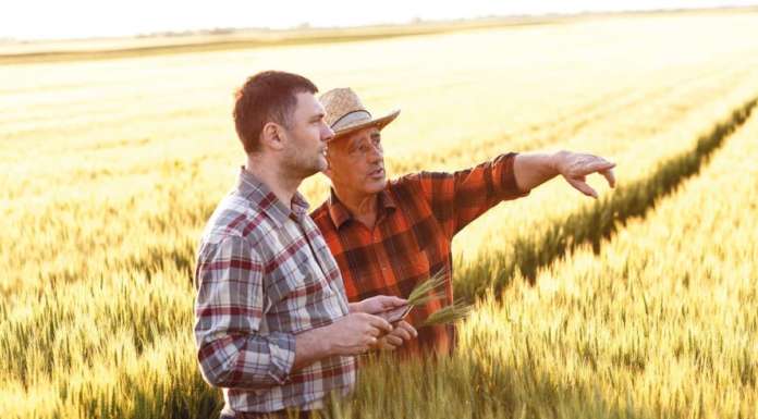 Pubblicato il rapporto della Commissione Europea sul sistema dei controlli dei prodotti biologici