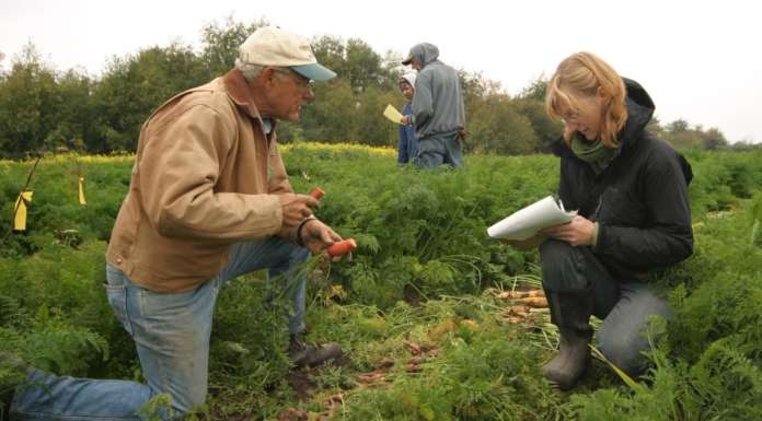 In una lettera al Governo le osservazioni di AIAB su ricerca e biologico