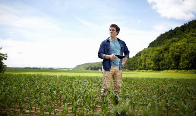 Il contributo dell’agricoltura biologica allo sviluppo sostenibile delle aree rurali