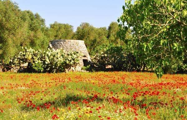 A chi serve questa polemica sterile?