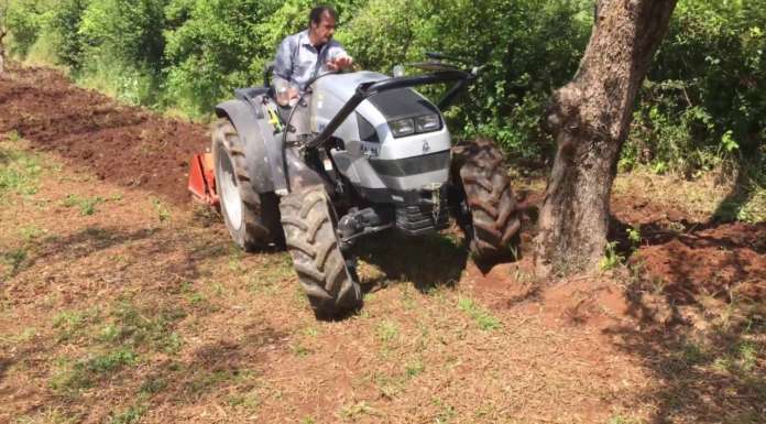 Agricoltura biologica o agricoltura integrata?
