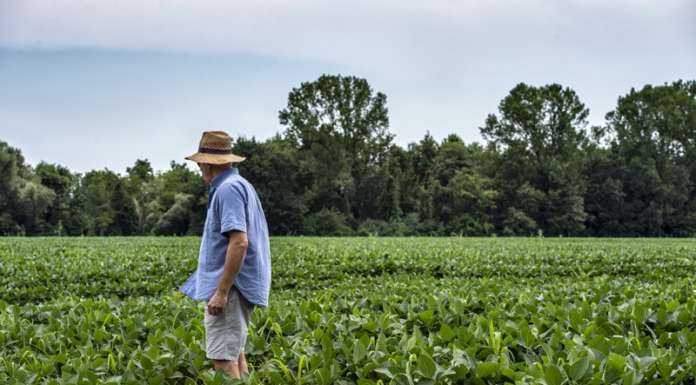E’ in arrivo la dieta salva pianeta (noi compresi)