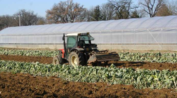 Per un’agricoltura senza pesticidi