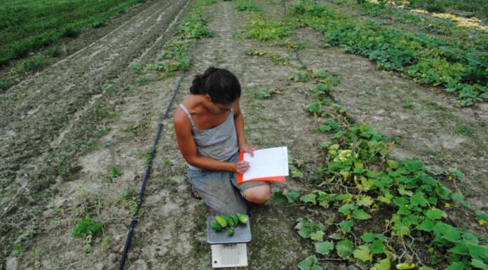 Il contributo dell’agricoltura biologica all’affermazione del metodo dell’evidenza scientifica nelle ricerche comparative con l’agricoltura convenzionale