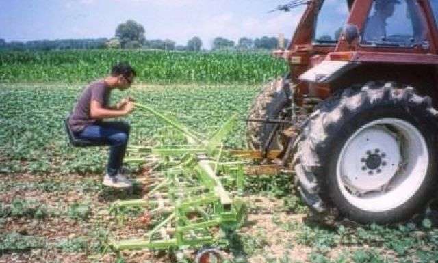 L’agricoltura biologica è meglio…